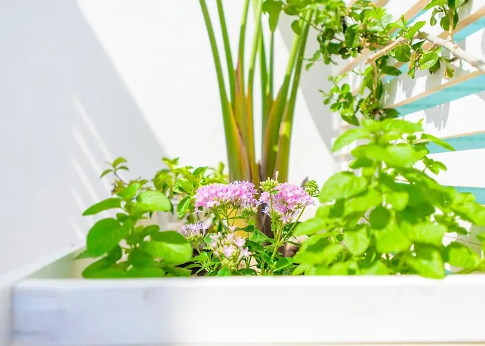 Apulia Ugento Cala Blu Torre San Giovanni Ugento