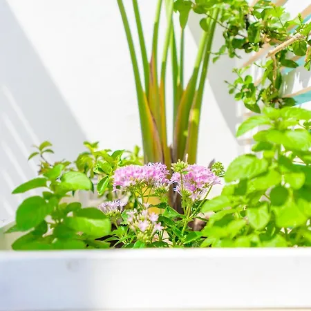 Apulia Ugento Cala Blu Torre San Giovanni Ugento