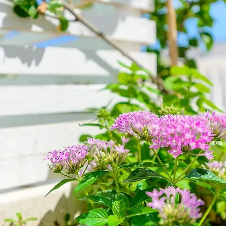 فندق Apulia Ugento Cala Blu